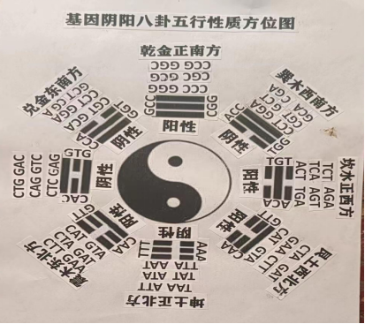 图片 2.png