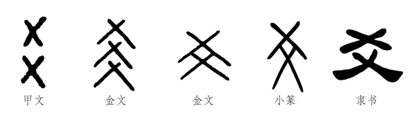 图片 4.png